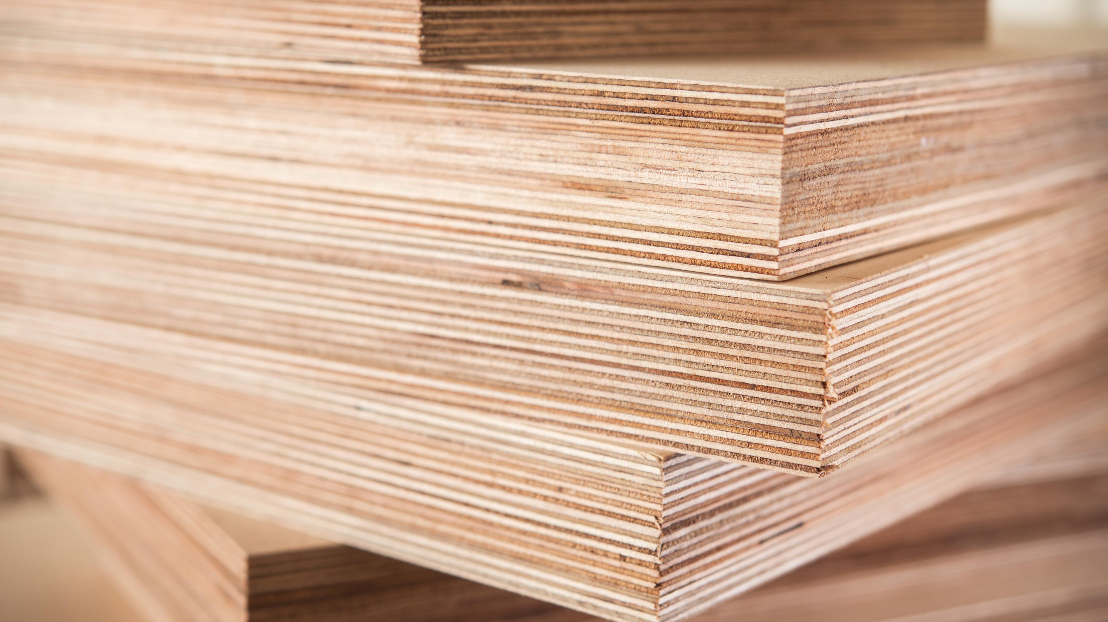 Birch Plywood