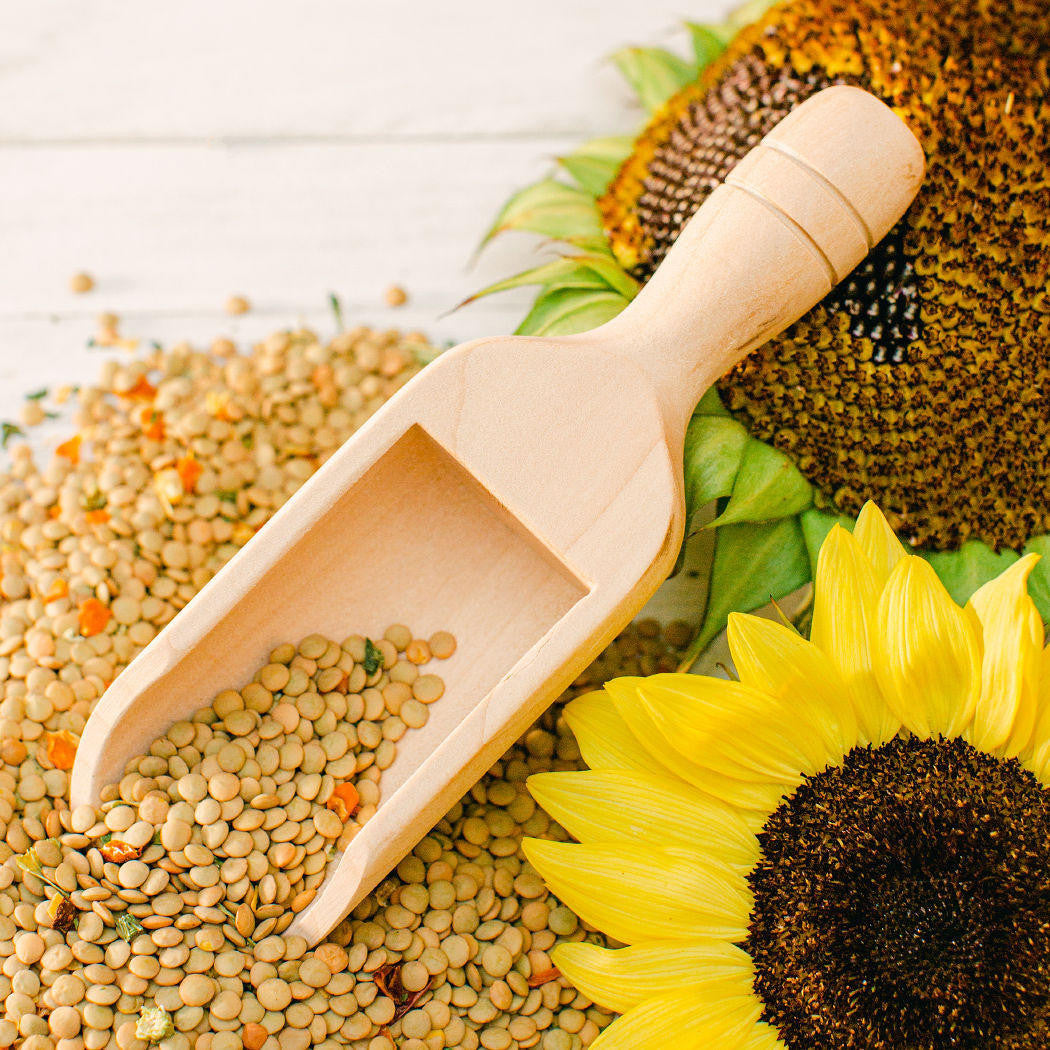 Woodpeckers Crafts 8" Round Scooper