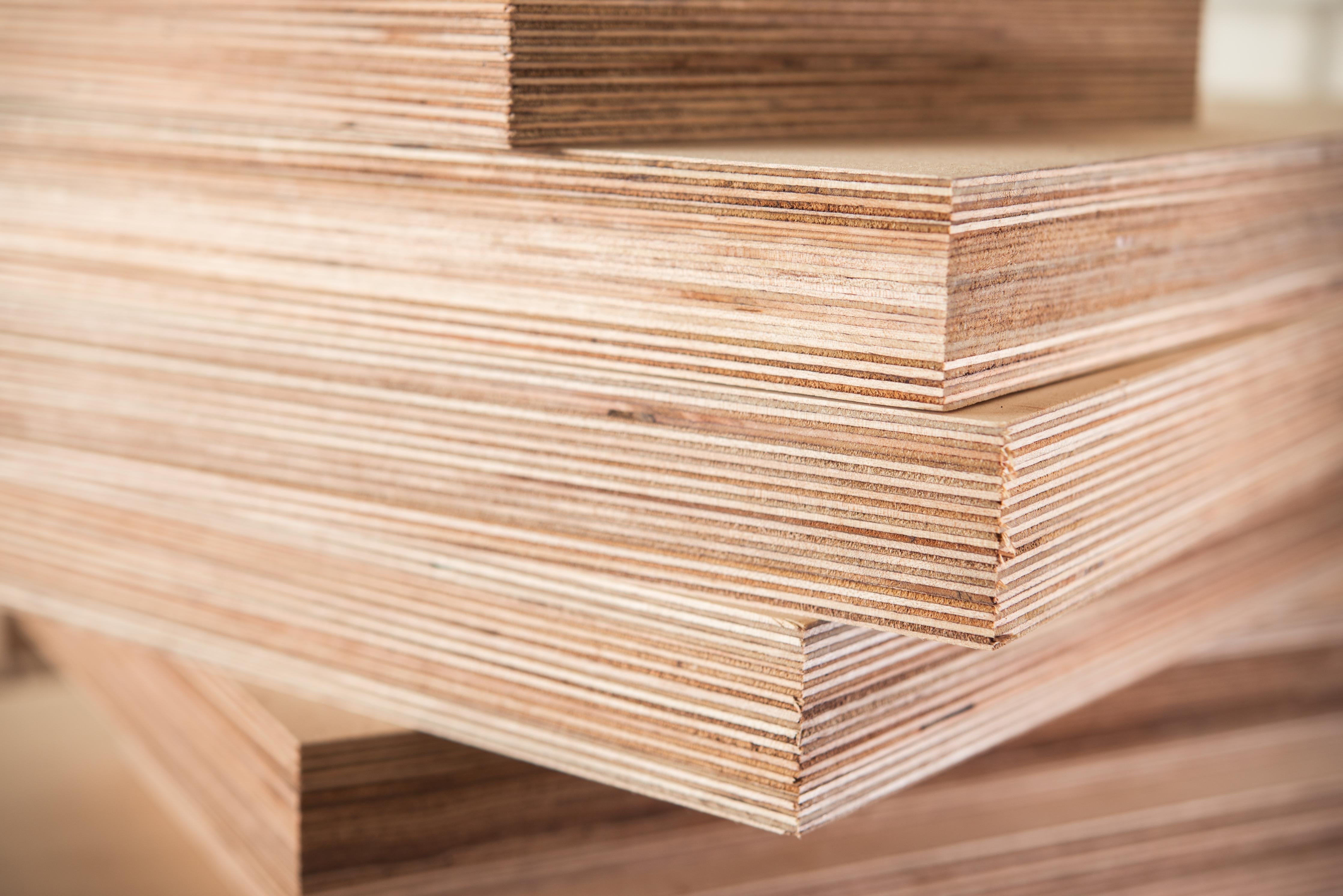 Birch Plywood