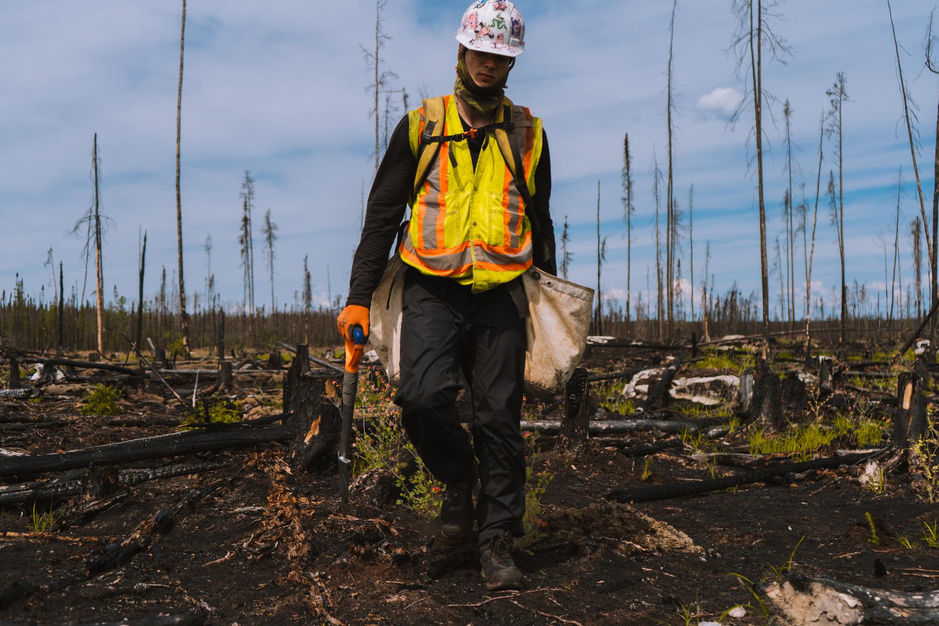 Plant a Tree with Arbor Day