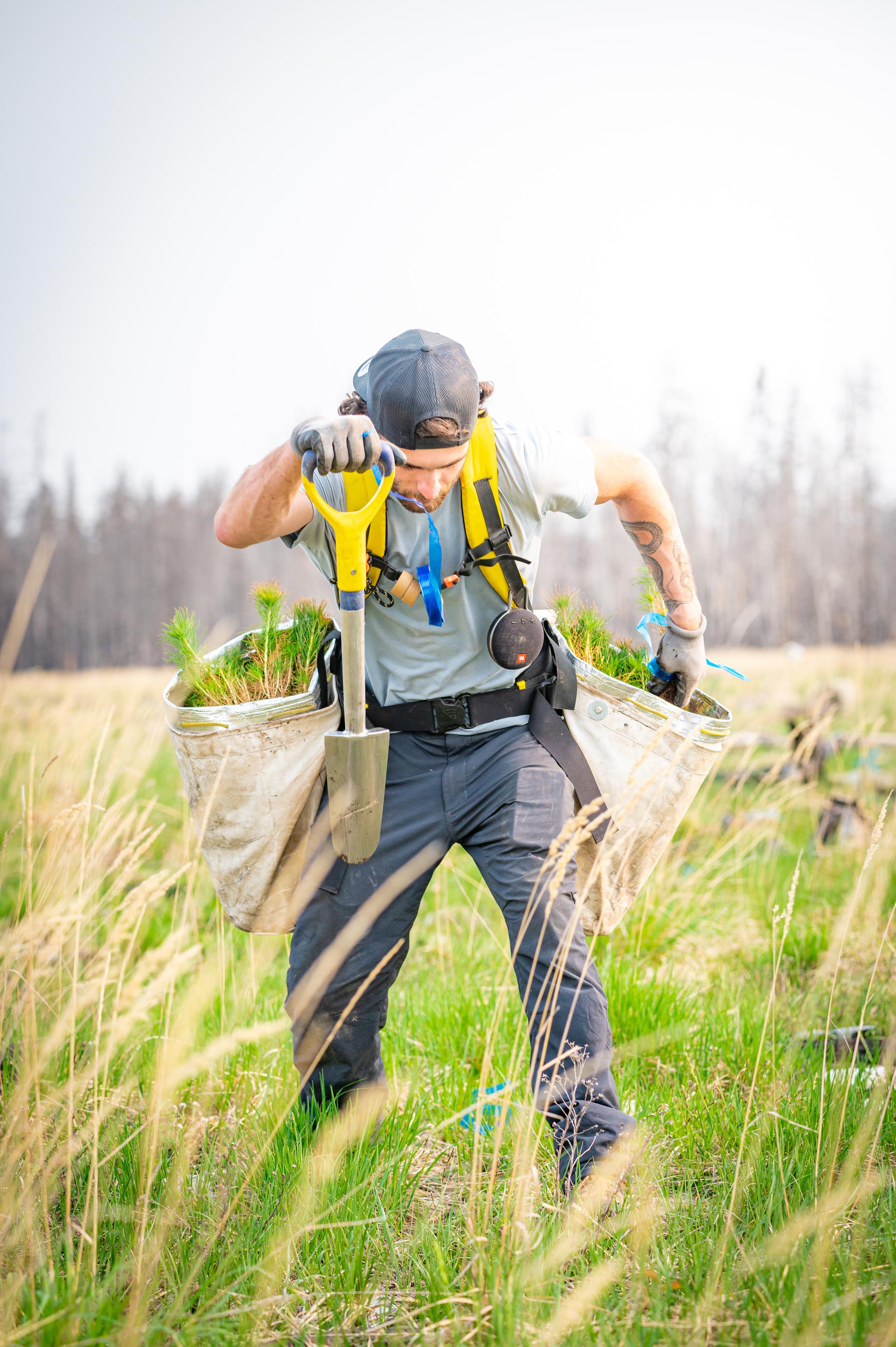 Plant a Tree with Arbor Day