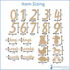 Woodpeckers Crafts Baby Milestone Numbers, Set of 22 