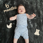 Woodpeckers Crafts Baby Milestone Numbers, Set of 22 